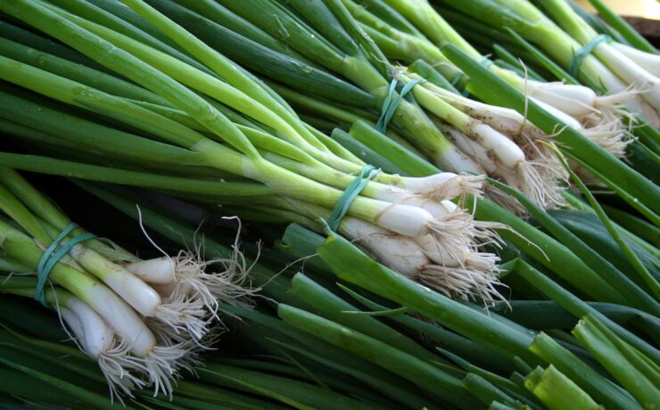 légume vert et blanc sur une table en bois marron