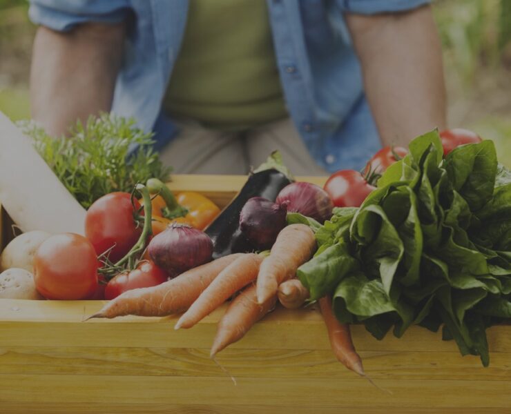 vegetables, legumes, market, bio, green, man, boy