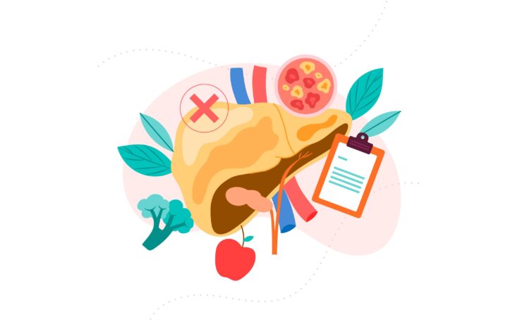 liver