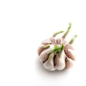 légume, ail, nourriture