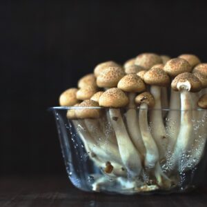 tasse en verre transparent remplie de champignons