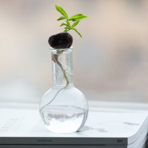 bocal en verre transparent sur un livre