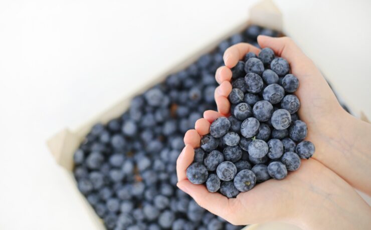 blueberries hand heart health