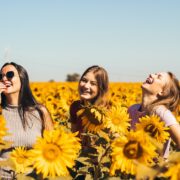 trois filles rient beaucoup au milieu d'un champ de tournesols