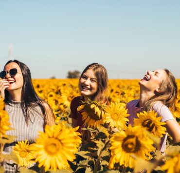 trois filles rient beaucoup au milieu d'un champ de tournesols