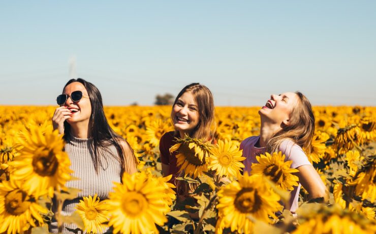 trois filles rient beaucoup au milieu d'un champ de tournesols