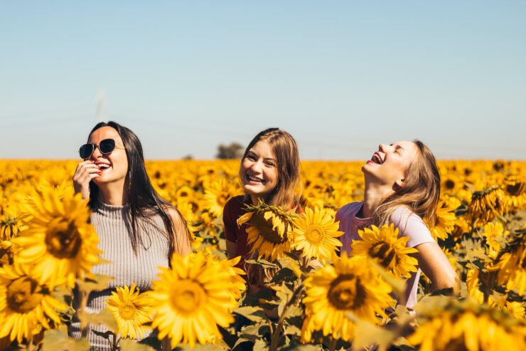 trois filles rient beaucoup au milieu d'un champ de tournesols