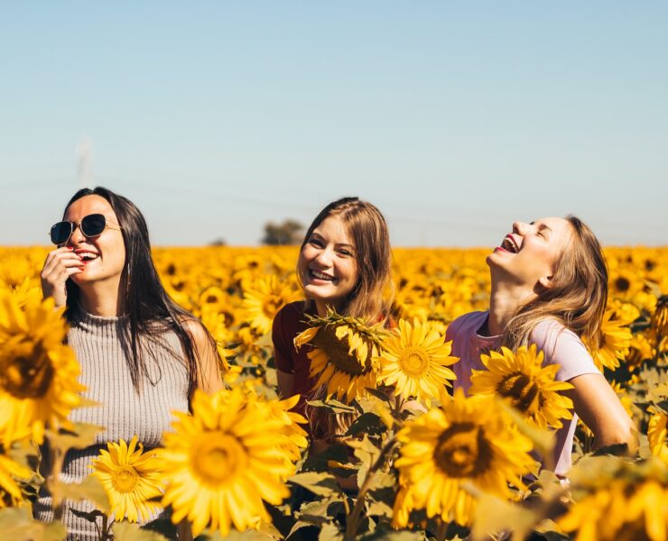 trois filles rient beaucoup au milieu d'un champ de tournesols